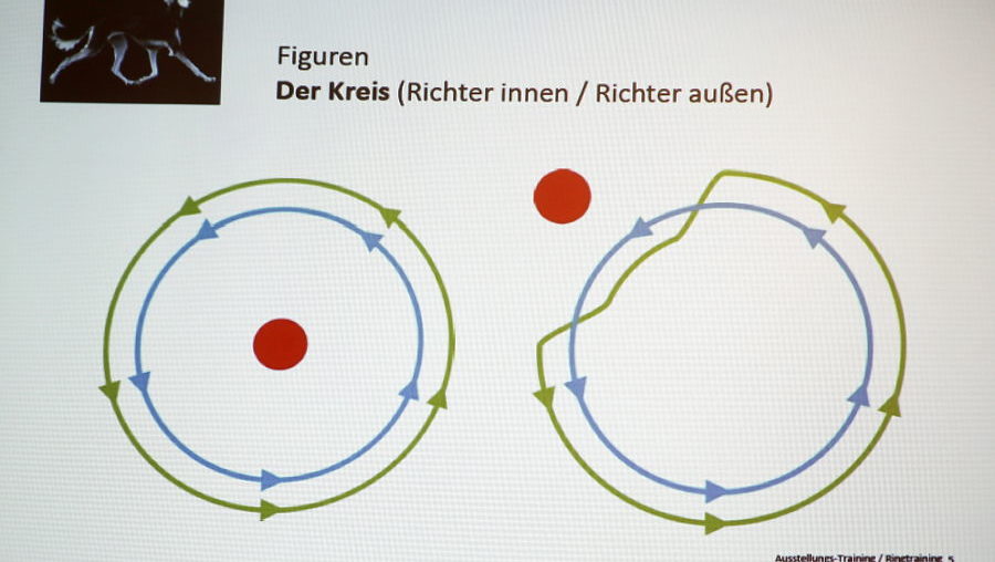 Ringtraining beim WRV Westfalen-Ruhr