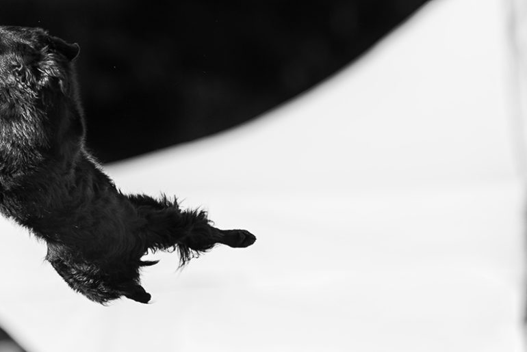 Ein Jahr in Bildern - meine Lieblingsfotos 2016