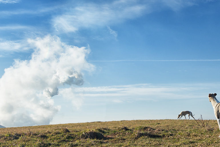 Halde im Ruhrgebiet