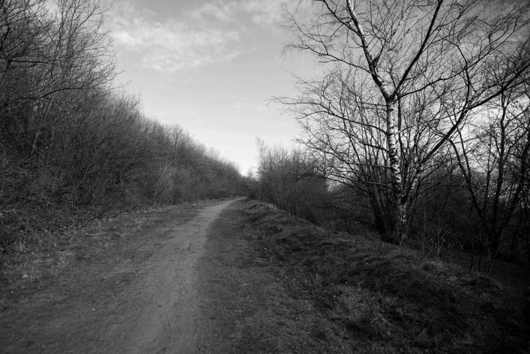 Der Weg. Zwischen Glück und Horror